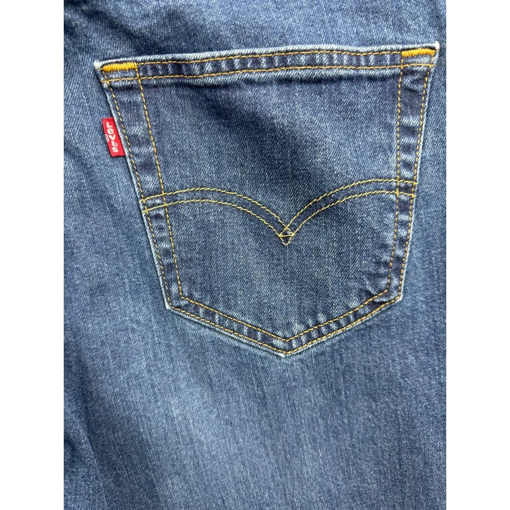 Levis levi strauss